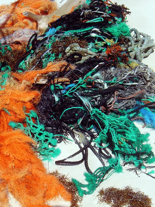 fishing-nets